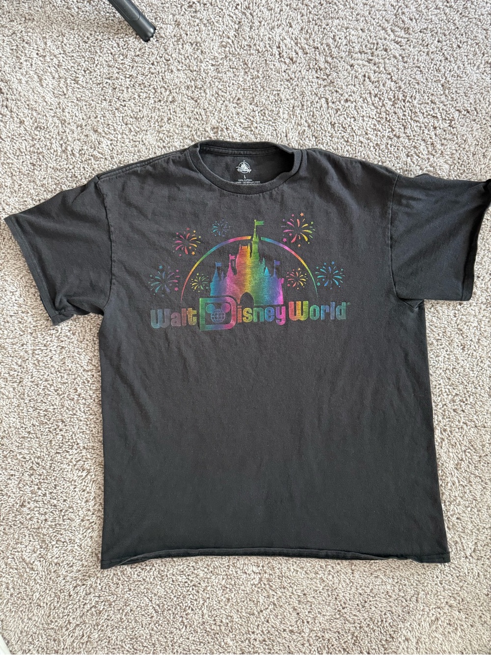 Adult Official Walt Disney World graphic T-shirt